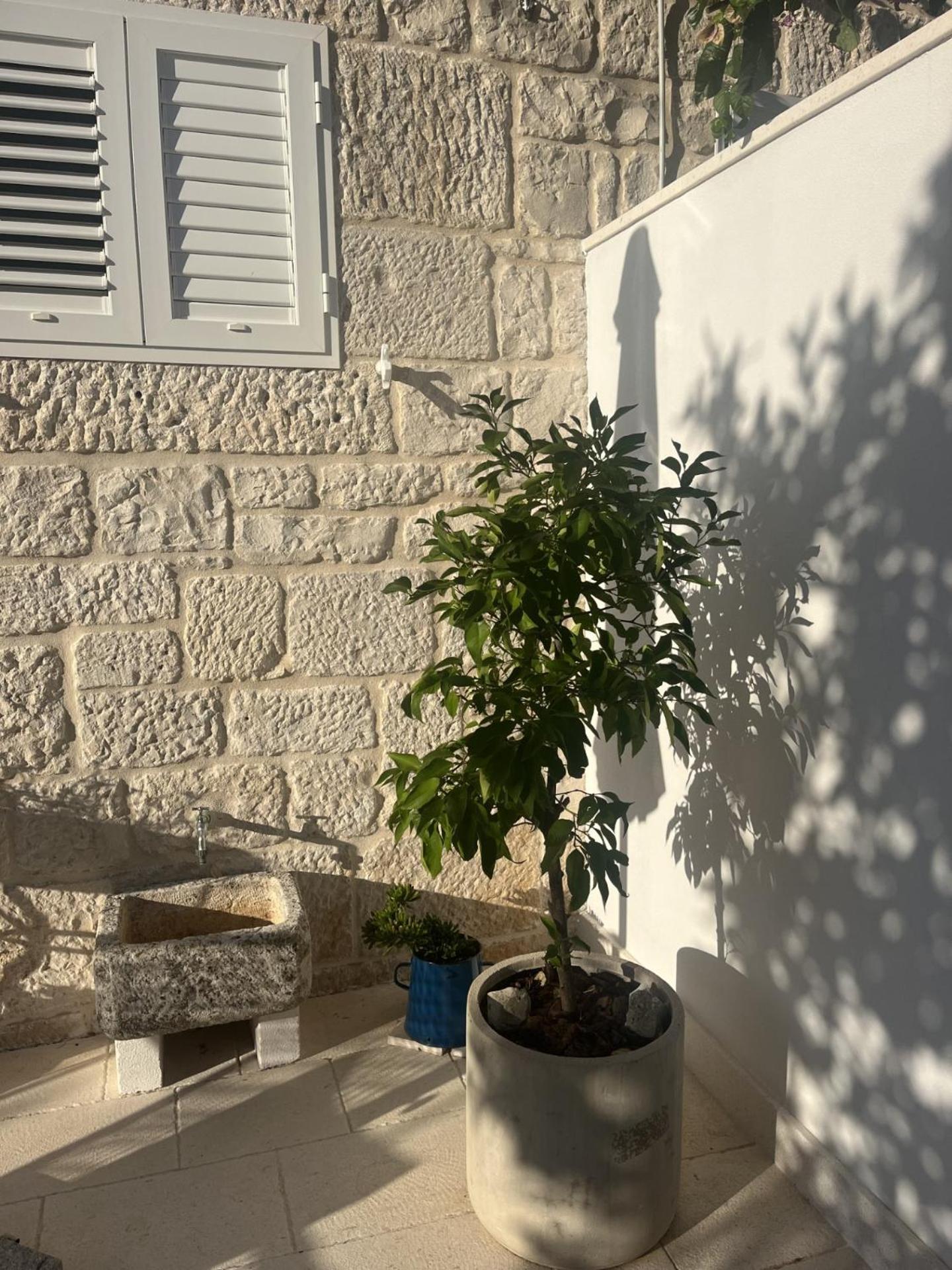 Apartment On The Sunny Side Korčula Dış mekan fotoğraf